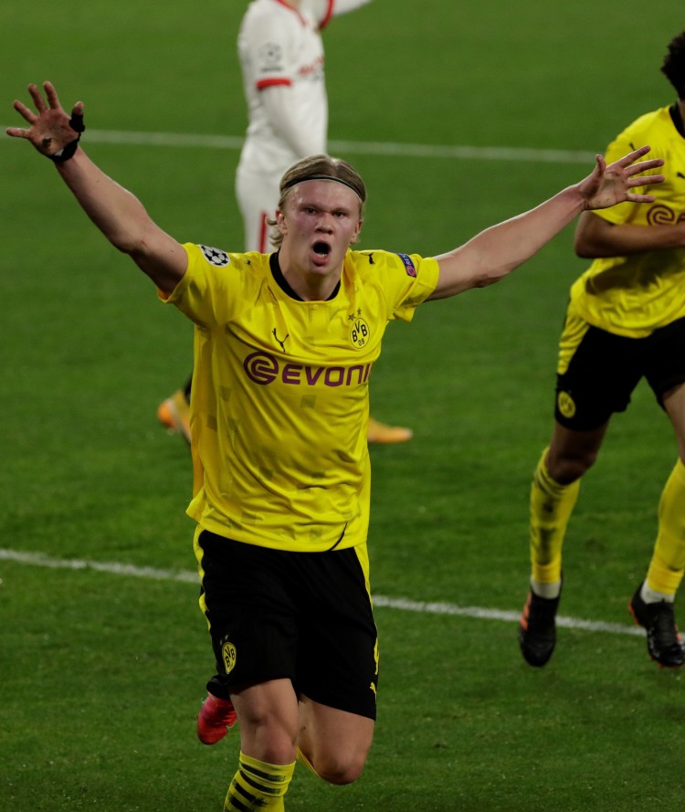 杯的缩影 杯的缩影